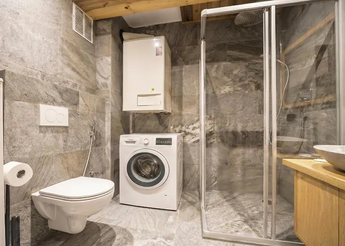 Alpine Essence Luxury In Zell Am Center 公寓 滨湖采尔